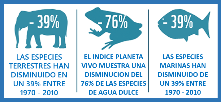 Extincion en masa